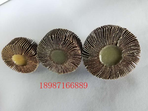 軸頁輪6mm-50-80
