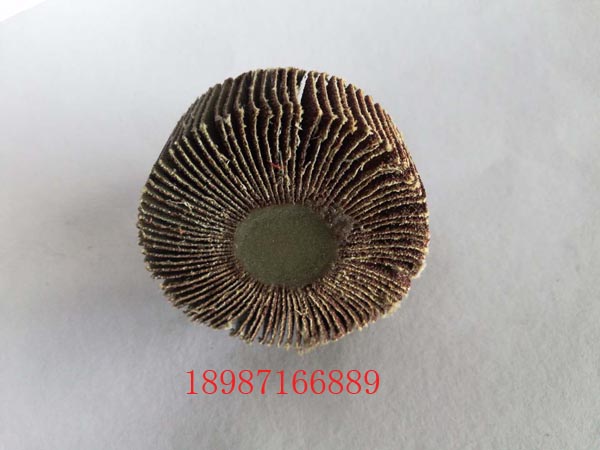 軸頁輪6mm-60